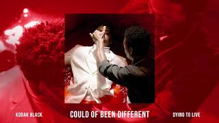 Kodak Black - Could Of Been Different [Official Audio]
