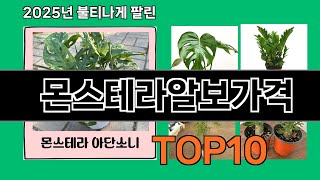 몬스테라알보가격 놓치면 후회하는 쿠팡 베스트템 BEST 10