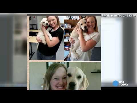 Family: Boy with ADHD duped, given faulty service dog Family: Boy with ADHD duped, given faulty service dog