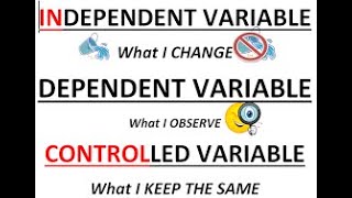 Variables Song MM