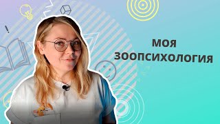 О моей работе и философии взаимодействия с домашними животными. Работа зоопсихолога. Новая кинология