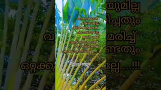 ഒറ്റയ്ക്ക് തന്നെയാണല്ലോ Malayalam Motivation tips # viral shots video # Zama vlog