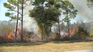 Weather hinders controlled burn in Gulf State Park, more fire planned
