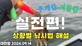 쭈꾸미 낚시, 무게감 저항감 분리한 실전편! 야간 쭈꾸미 낚시 03시 출항!