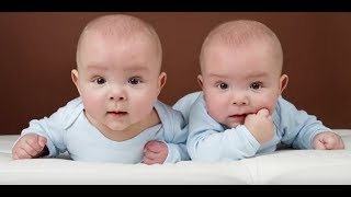 IVF and twins