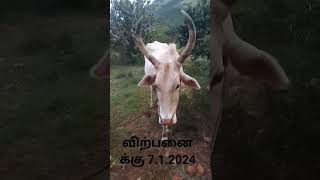 விற்பனைக்கு cell 9363475646