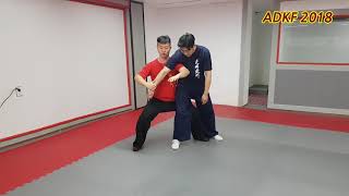 Taichi quan training / 太極拳 修鍊 / 양가\u0026 진가태극권 수련 - ADKF [180927]