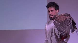 Lessons from a Life with Falcons | Simone Cilluffo | TEDxYouth@ISF