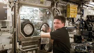 Scientific research on the International Space Station | Wikipedia audio article