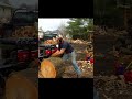 😲Amazing Dangerous Automatic Firewood Processing Machine😱 ! #Working #Shorts