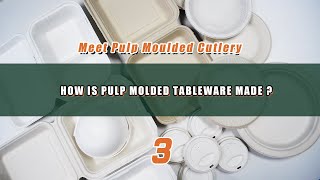 How is pulp molded tableware made?