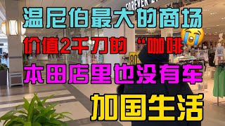 加国生活21：一杯咖啡2千刀没了，看看温尼伯最大的商场，还有本田车行现状#加拿大 #海外生活 #温尼伯 #移民 #留学