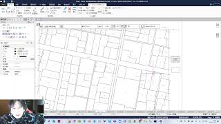 【地図作成】 Vol.03　「削除チェック」という手法（2024/11/23）