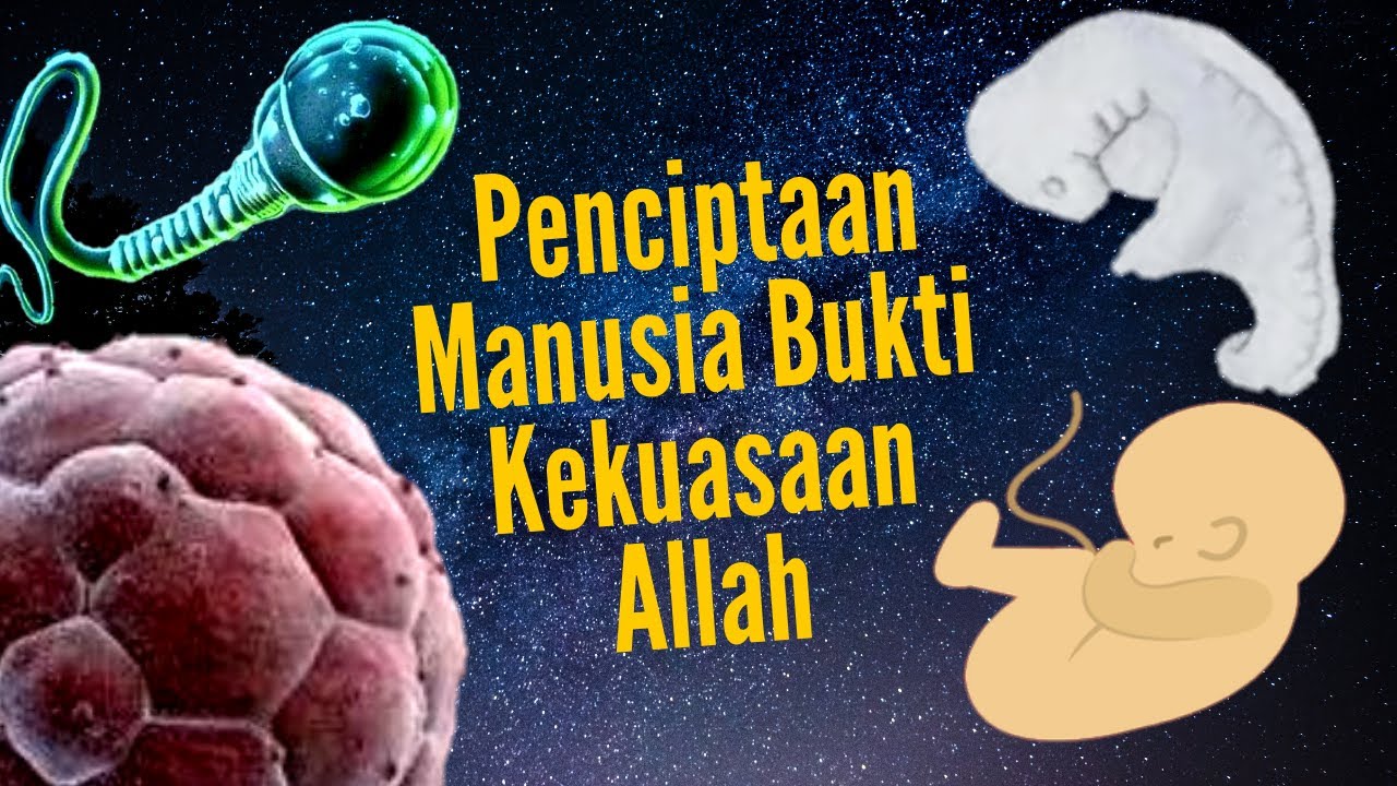 Penciptaan Manusia Bukti Kekuasaan Allah (Kefahaman) : Pendi Islam ...