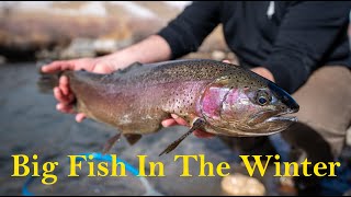 Big Fish in a Ditch - Winter Tenkara Fishing