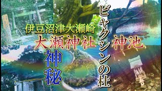 〖伊豆沼津〗大瀬神社⛩ 神秘の神池とビャクシン古木の杜〖大瀬崎〗🗻パワースポットめぐる伊豆プチ一人旅 ❈ 生憎の雨のため孤独感マシマシ😓