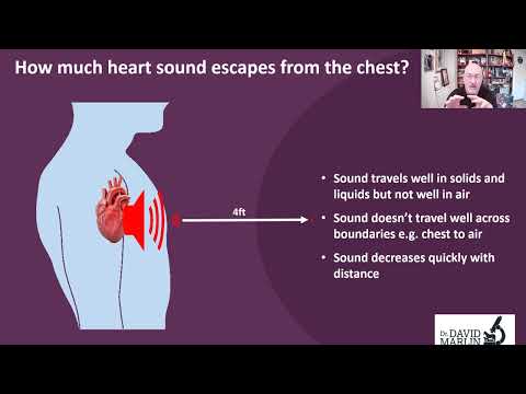 Can a horse hear a human heartbeat from 4 feet away?