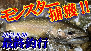 【渓流】禁漁前日のシーズン最終釣行でモンスターイワナ捕獲‼