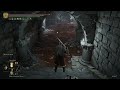 watch me play elden ring exploring caelid part 1