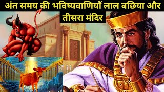 अंत समय की भविष्यवाणियाँ लाल बछिया और तीसरा मंदिर | End Times Prophecies Red Heifer and Third Temple