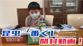 昆虫一番くじ！開封動画！！