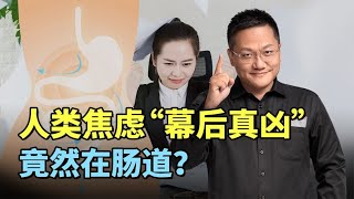 焦虑的“幕后真凶”竟然和肠道菌群有关？