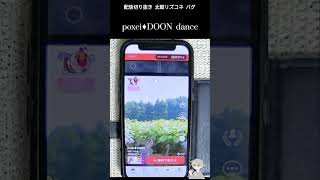 poxei♦DOONを踊るHIMAWARIちゃんねる #shorts  #太鼓の達人 #rhythm_connect #バグ #ポセイドン #踊ってみた