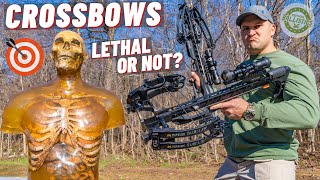 How Lethal Is A Crossbow ??? 🏹