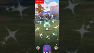 Sprigatito Community Day Recap #shorts #pokemon #pokemongo