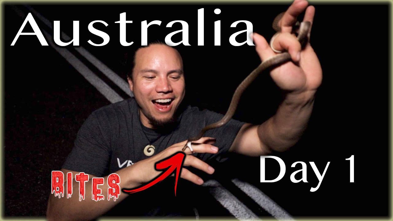 Snake Bites First Day In Australia - YouTube