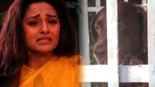 जया प्रदा रोते हुए कुत्ते से मदद मांगती है l Best Emotional Scene