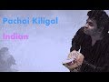 Pachai Kiligal - Indian | A. R. Rahman | 24 Bit | Audio Spectrum