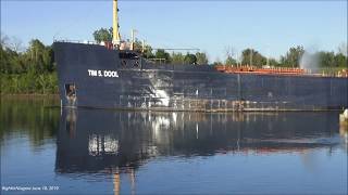 Ship TIM S. DOOL at the Homer Bridge, Welland Canal, 2019