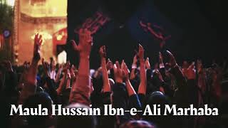 Nadeem Sarwar | 1442 | 10 Muharram Status | Lyric Video