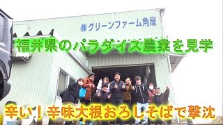 福井県のグリーンファーム角屋へ見学に行きました・野々市市と真逆のパラダイス農業に驚く・2025