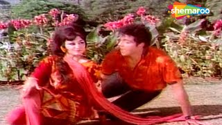 Door Se Tera Deewana Aaya Hai | Raaton Ka Raja (1970)| Dheeraj Kumar | Vaishali | RD Burman Hits