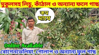 মুকুলসহ লিচু গাছ, সমস্ত রকম ফলের ও ফুলের গাছ পাবেন বাদল নার্সারীতে। কুরিয়ার এর মাধ্যমে নিতে পারবেন l