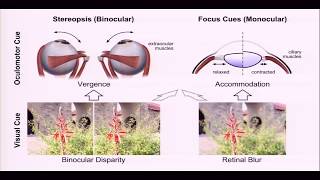 EI 2017 Plenary: VR 2.0: Making Virtual Reality better than Reality