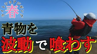 【ヒット率９９％】ケイムラ＆波動最強ルアーを投げたら青物が一発で喰ってきた！見たら必ず喰ってくる！もはや餌！しかしショアジギングでただ巻きは途中で飽きるのが欠点w