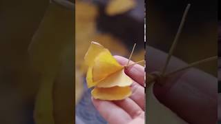 How to Make Ginkgo Leaves Butterfly