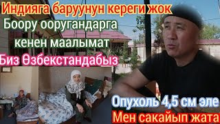 Айыгып калдым Өзбекстанга бардык. Боор оорусунан айыгып жаткан бир тууганыбыздан маек.