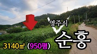 [매물번호 272번] 영주시 순흥면 자연녹지지역 |영주옥토부동산 054.631.6100