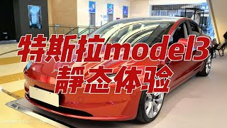 新款特斯拉model3静态体验