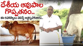 దేశీయ ఆవుపాలతో ఇన్ని ఉపయోగాలు ఉన్నాయా ? | Cow Milk Health Benefits | Eagle Media Works