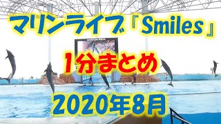 【1分まとめ】2020年8月　マリンライブ『Smiles』　アドベンチャーワールド