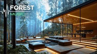 The Perfect Escape From Urban Chaos | 2 Hours Forest Mix