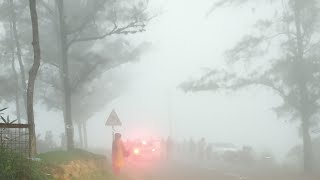 Rain drive through ponmudi hills | Kerala Monsoon Series #ponmudi#ArjunNair#ponmudiwhatsappstatus