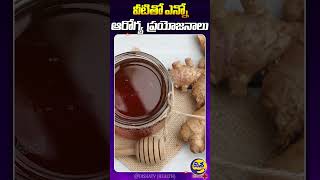 వీటితో ఎన్నో ఆరోగ్య  ప్రయోజనాలు | Health Benefits| Disha TV Health