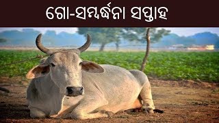 ଅନ୍ନଦାତା | ଗୋ-ସମ୍ବର୍ଦ୍ଧନା ସପ୍ତାହ | Annadata | 30th Oct 2017 | ETV News Odia