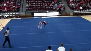 SFAC Power Tumblers - Gardner Webb University Exhibition